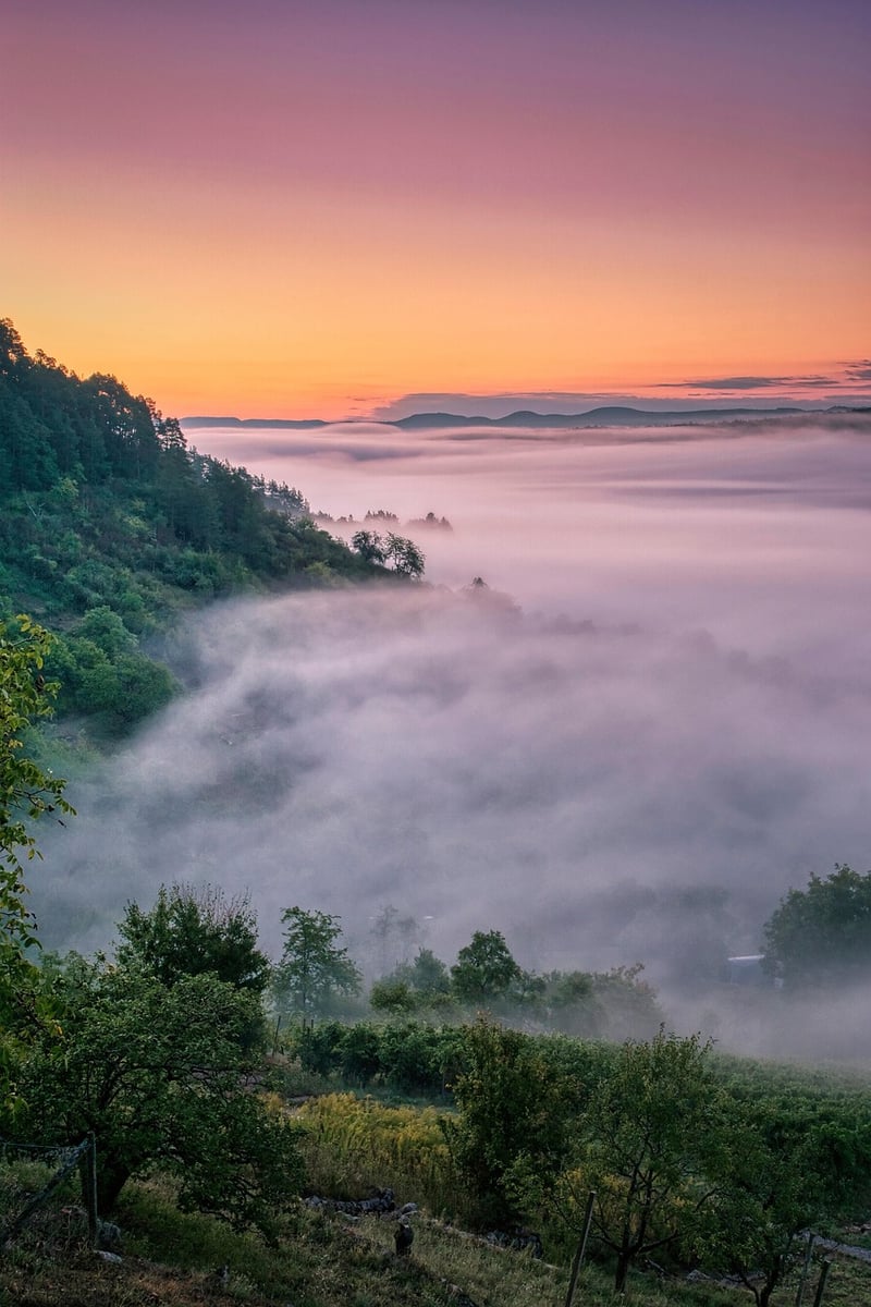 Mystical Potion Brewing